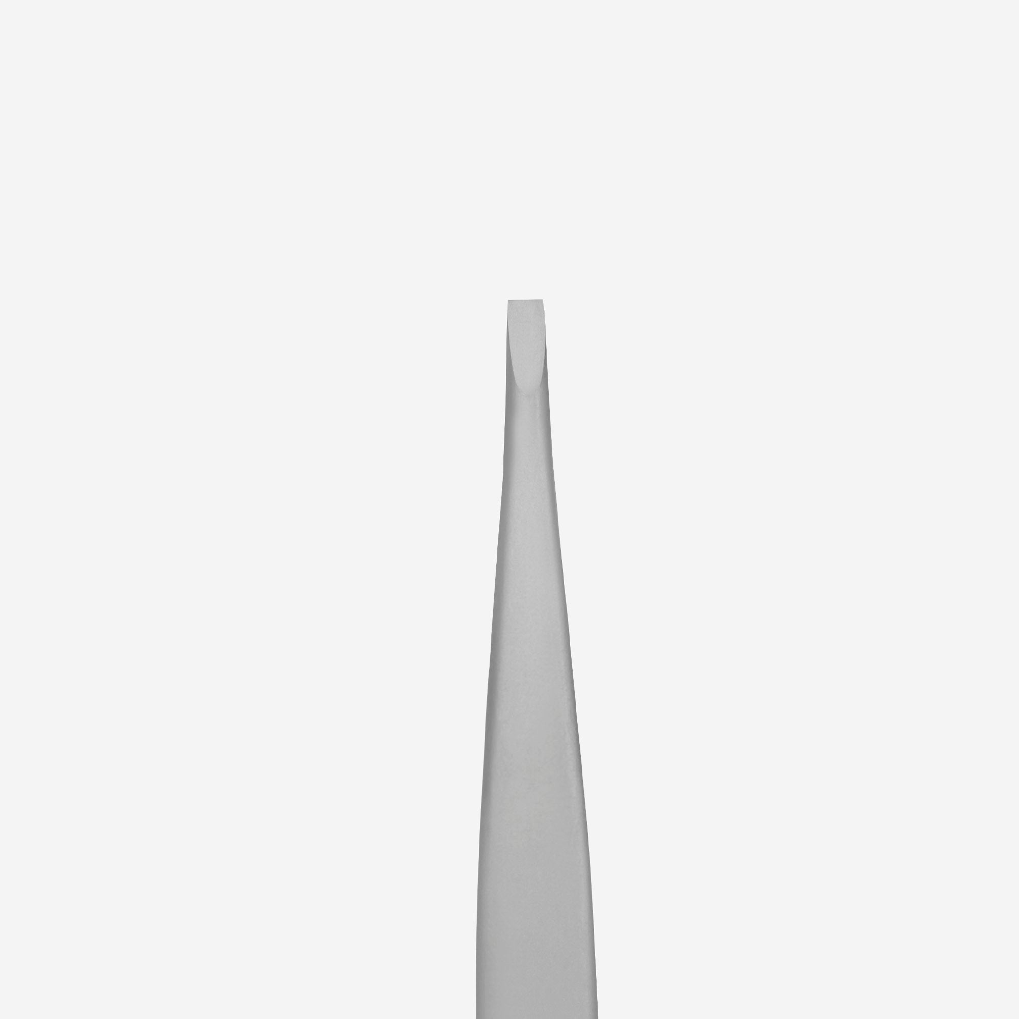 STALEKS BEAUTY & CARE 10 TYPE 2 Dar düz kaş cımbızı