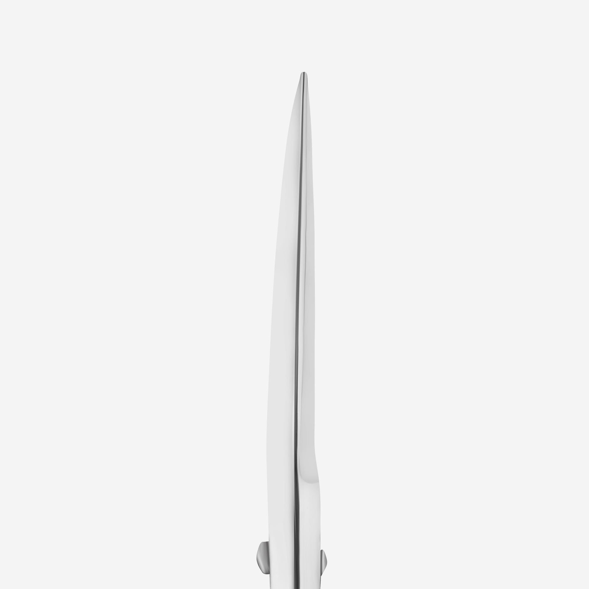 STALEKS EXPERT 30 TYPE 1 Professional scissors for eyebrows modeling