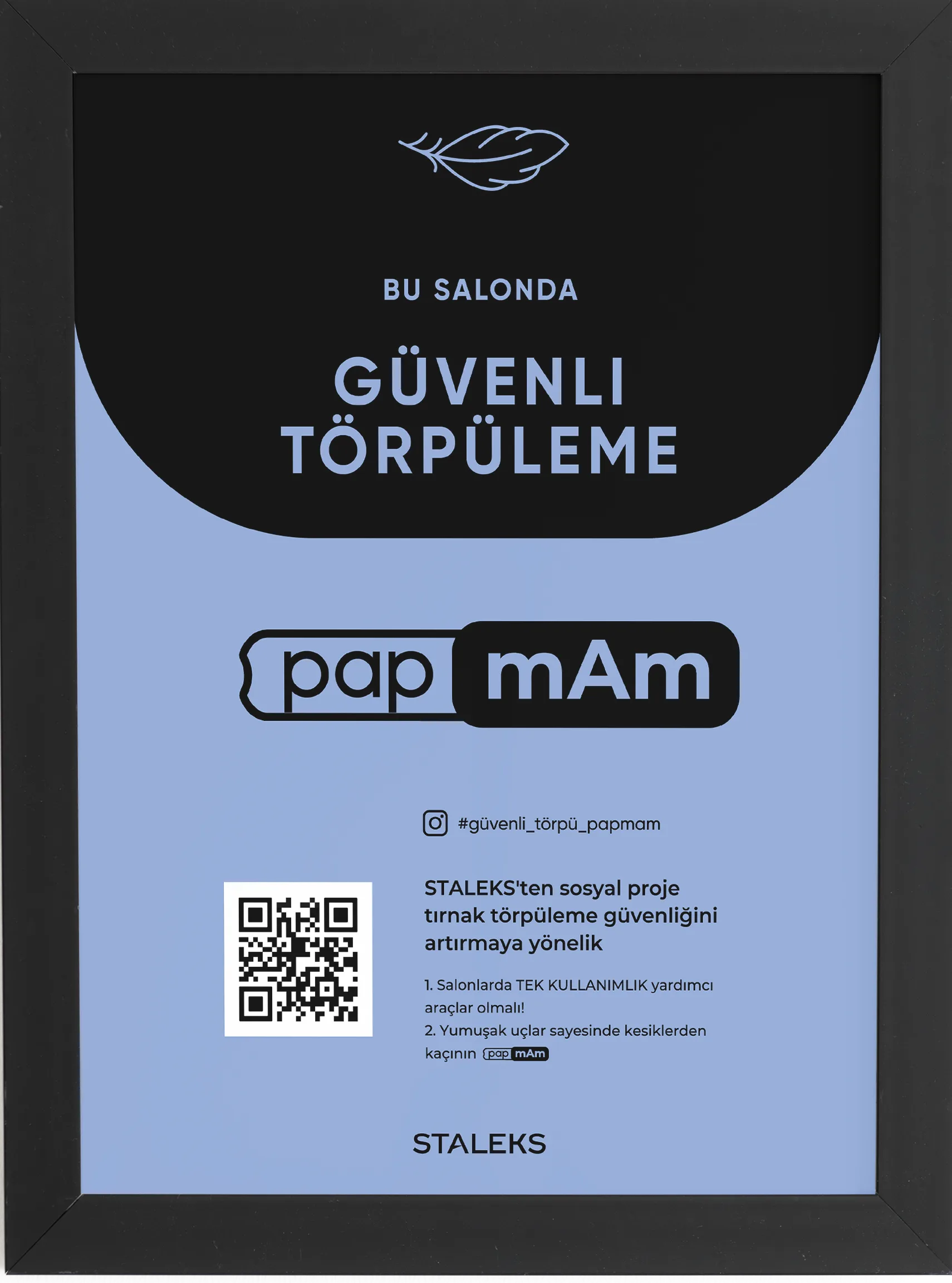 Certificate "Safe Filing" papmAm in a frame