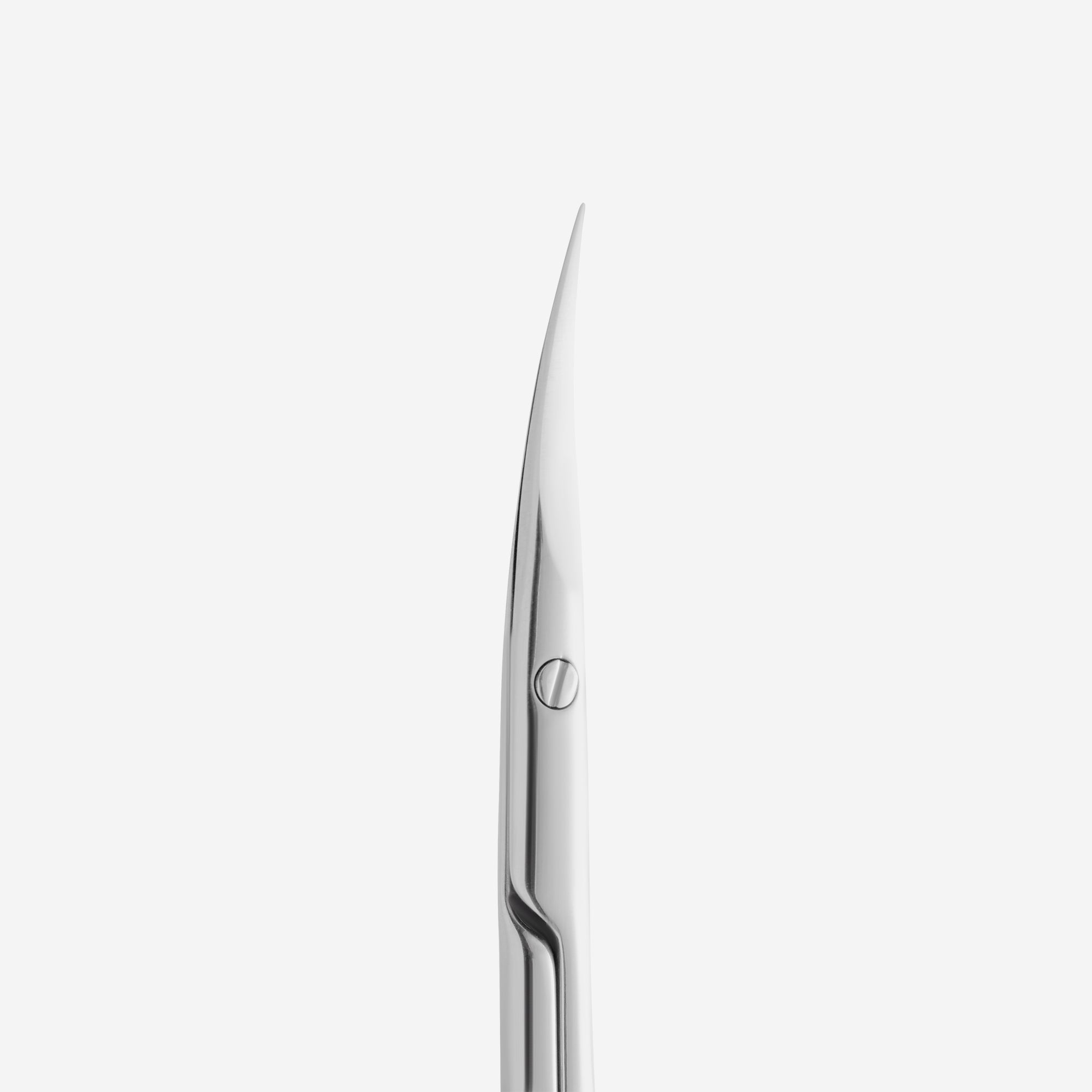 STALEKS EXPERT 50 TYPE 3 Profesyonel tirnak etil makası